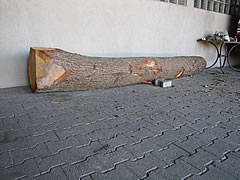 Ein neues Holzjoch für die Wächterglocke